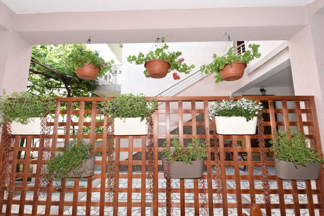 Guest House Zec Budva Luaran gambar