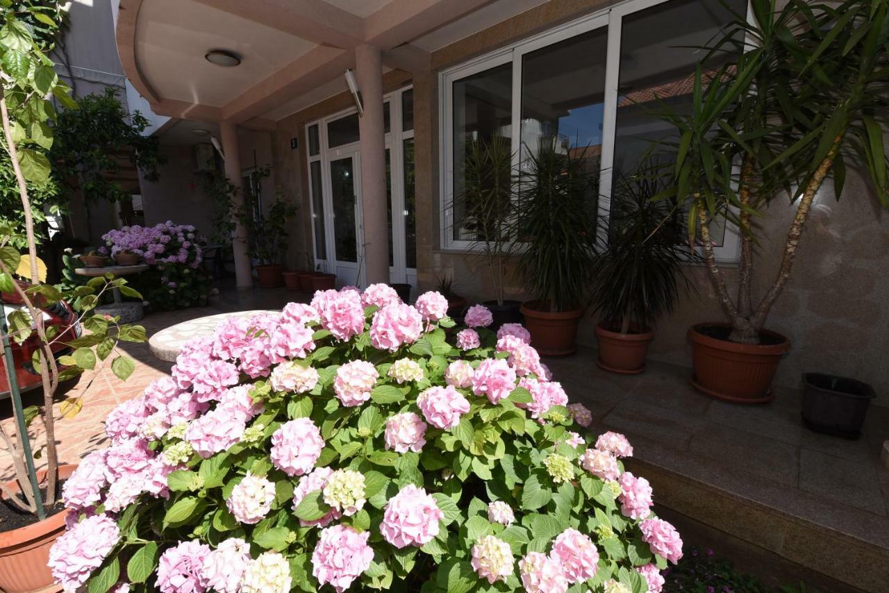 Guest House Zec Budva Luaran gambar